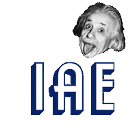 Einstein Sticker by iaegrafico