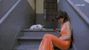 dog scrolling GIF by HOLLYWOOD LOVE STORY