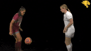 D3Soc Cuc19 GIF by CUCougars