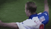 premier league football GIF by Blackburn Rovers