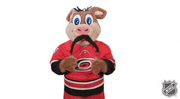Ice Hockey GIF by NHL