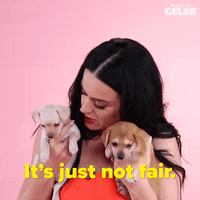 Katy Perry Puppies GIF by BuzzFeed