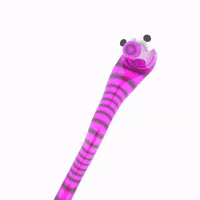 Brrd GIF