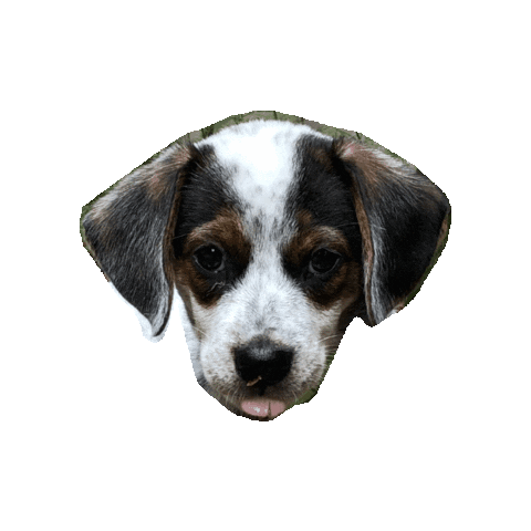 Sticker by Nat Vegel