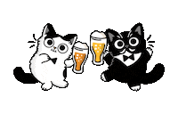 Cat Party Sticker by meowbox