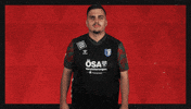 Fc Magdeburg What GIF by Bundesliga