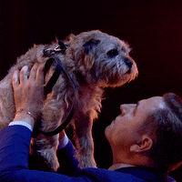 david walliams dog GIF by Got Talent Global