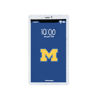 Umsocial Sticker by University of Michigan