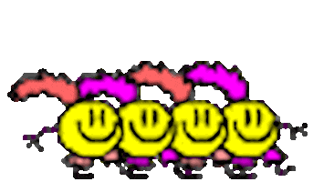 13 STICKER