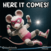 Lucha Libre Fight GIF by VeeFriends