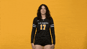 Sport College GIF by Cal State LA Golden Eagles