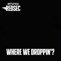 Drop In Battle Royale GIF by Battlefield