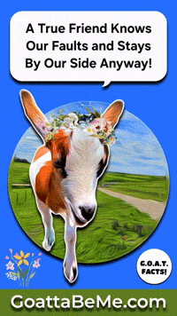 Friendship Youre The Best GIF by Goatta Be Me Goats! Adventures of Java, Toffee, Pumpkin and Cookie!