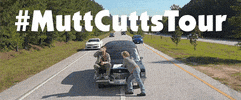 jim carrey harry dunne GIF by Dumb and Dumber To