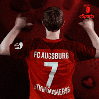Esports Ps4 GIF by FC Augsburg 1907