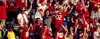 celebration fans GIF by New York Red Bulls