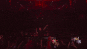 vegas GIF by Tiësto