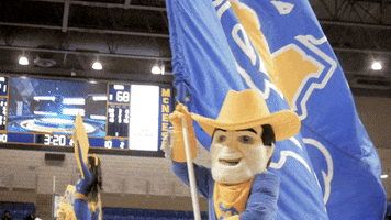 Ncaa Basketball GIF by McNeese Athletics