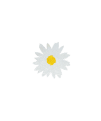 Flower Love Sticker by Yeo Valley