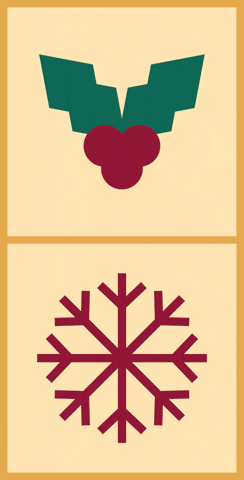 Mercado De Natal GIF by Serralves