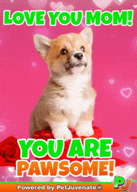 Mothers Day Taylor GIF by PetJuvenate - PJ