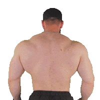 Fitness Posing Sticker by Universal Nutrition Europe