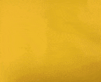 GIF by alexandramoura