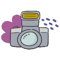 lelailustra photo camera ilustration lelailustra Sticker