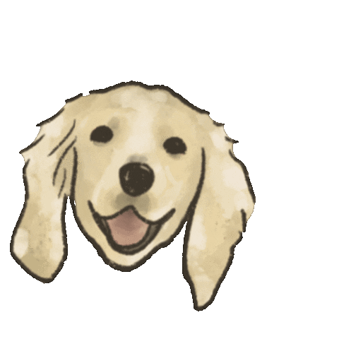 Lumi Sticker