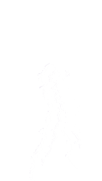 Nach Dancing Girl Sticker