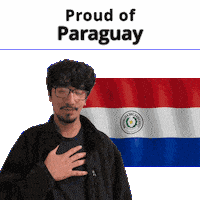 Paraguay Py Sticker