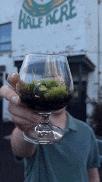 Chicago Houseplants GIF by UncommonPlantGuy