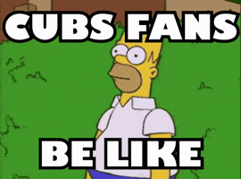 Be Like Mlb Teams GIF by Respective