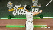 College Baseball Gavin GIF by GreenWave