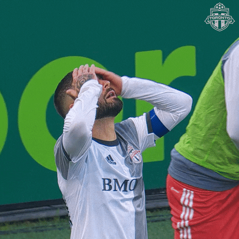 Bmo Field Football GIF by Toronto FC