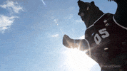 missouristate GIF by Missouri State University