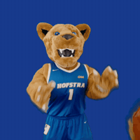 New York Basketball GIF by Hofstra University