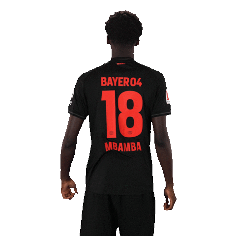 Bayer 04 Football Sticker by Bayer 04 Leverkusen