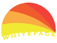 Lake Placid Summer Sticker by Whiteface