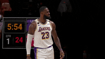 Lebron James Sport GIF by NBA