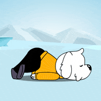 White Dog Monday GIF by BoDoggos