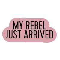 Ecommerce Sticker by Plant Rebelz