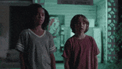 TheAvenue_Film friendship florida tiger tigers GIF
