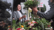 capitalone love happy smile surprise GIF