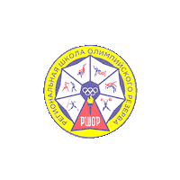 Sport Judoka Sticker by Judo Team Osh