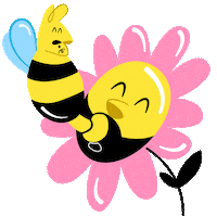 Love Is Love No Sticker