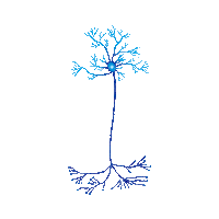 Brain Ae Sticker by Moreira Merlo