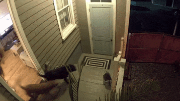 ilovethatforyou fall falling i love that for you falling down stairs GIF