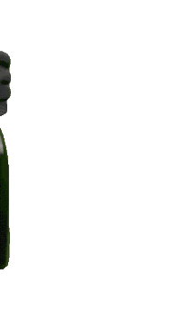 Champagne Mtb Sticker by Mountainbike Racingteam