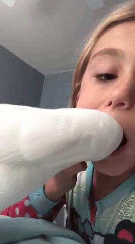 cuteanimalland giphyupload GIF